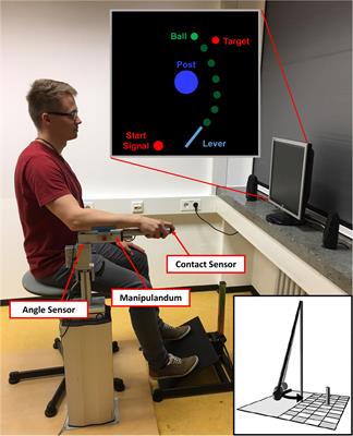 Accuracy of Motor Error Predictions for Different Sensory Signals